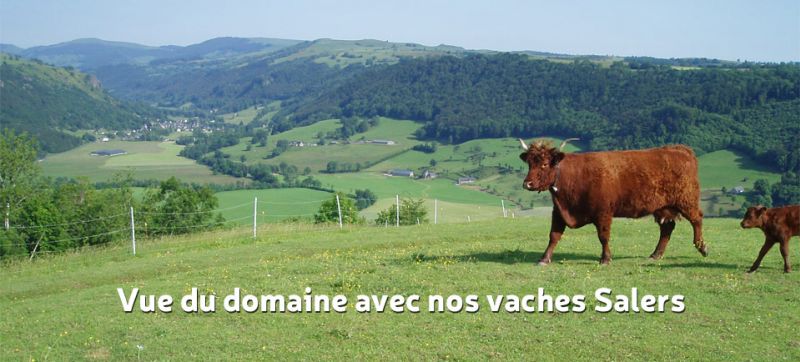 vue du domaine chaux de revel cantal